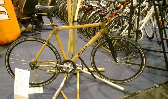 SS/fixi bambuszbringa a Bringaexpón