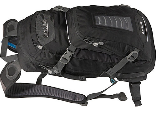 Camelback_mule_3L_5