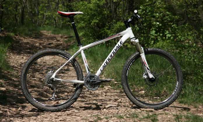 Cannondale Trail SL 2