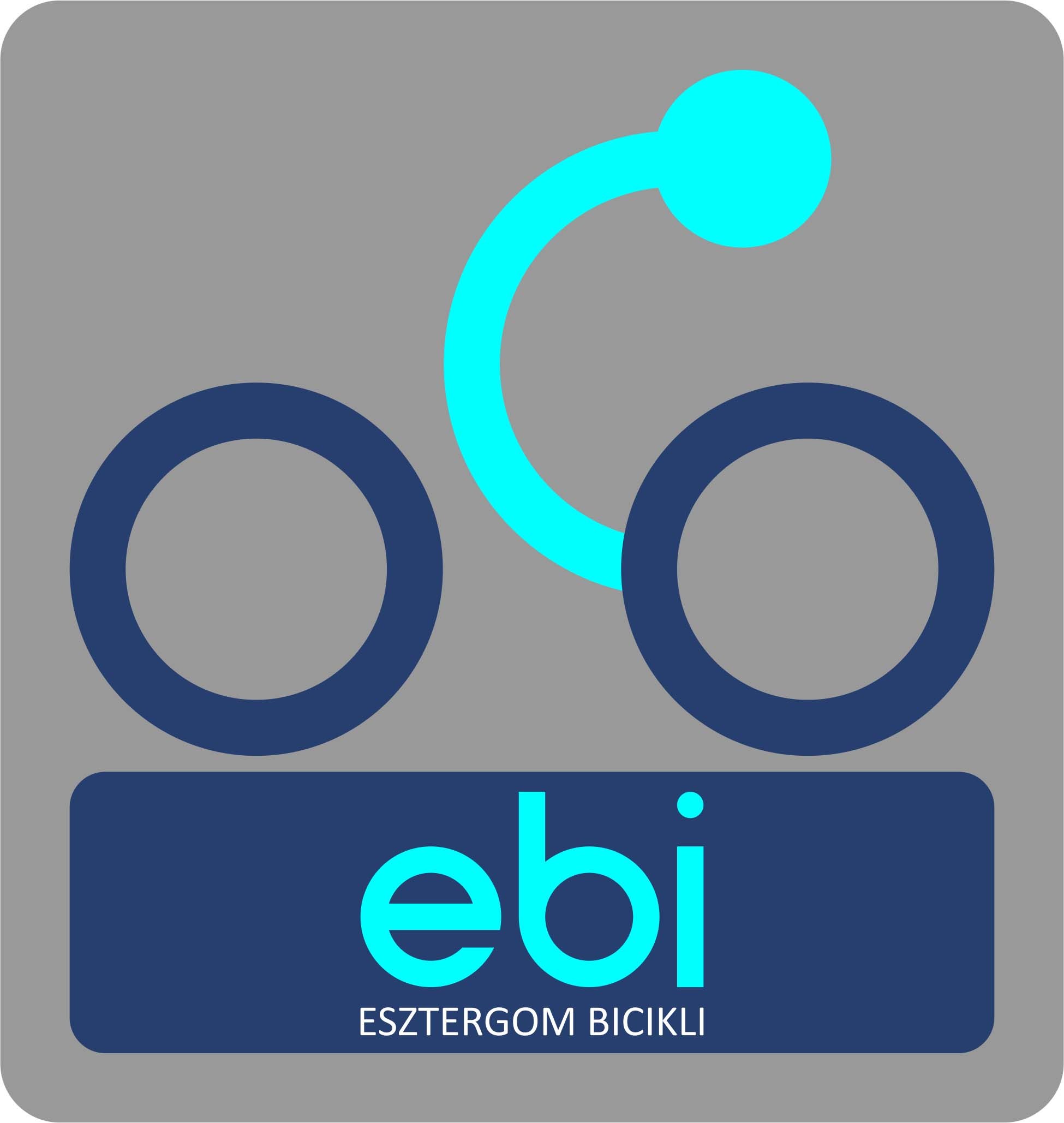 EBI logóKICSI