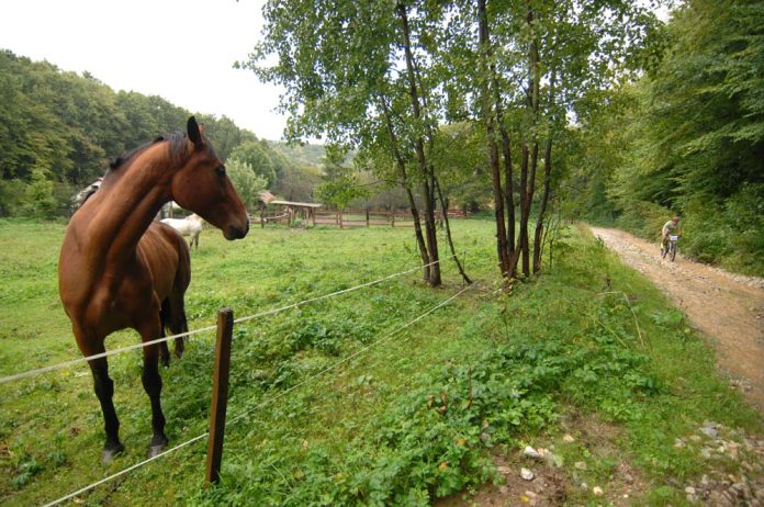 2. Fehérkő-Lápa Hillclimb 2011., Miskolc