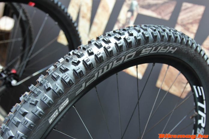 Schwalbe Hans Dampf