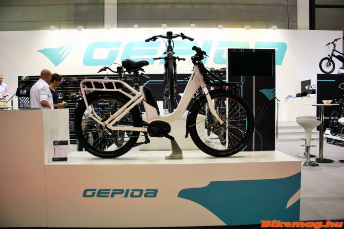 gepida