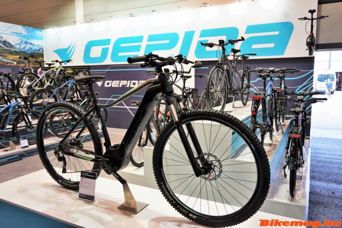 gepida_2019-11-1