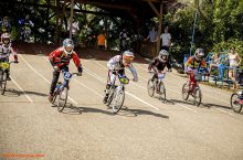 BMX: az Alpok-Adria Kupán a magyarok vitték a prímet Sopronban